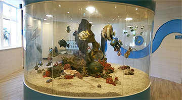 近海魚類模型靜態展示
