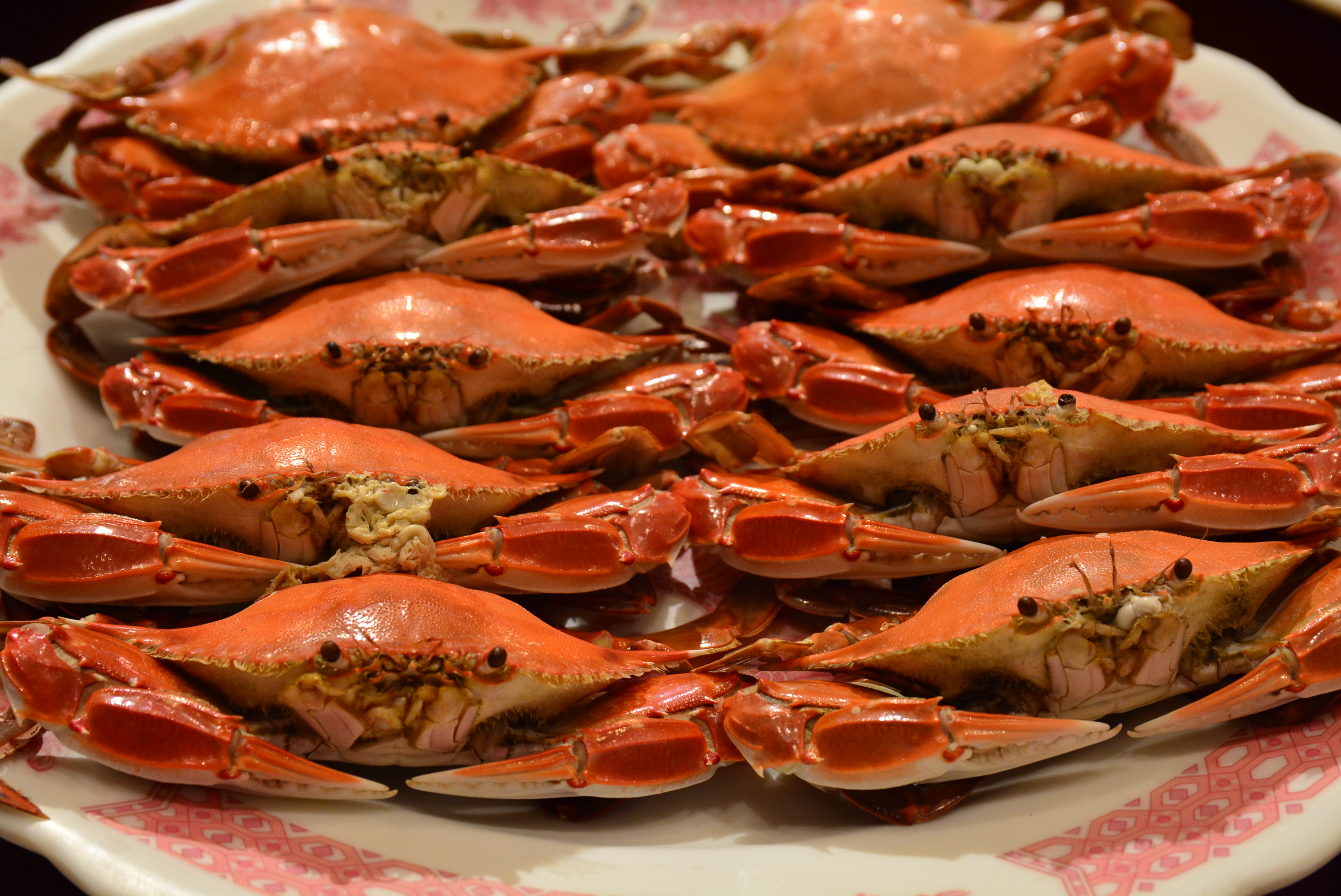 Steamed Wanli crab (three-spotted crabs)