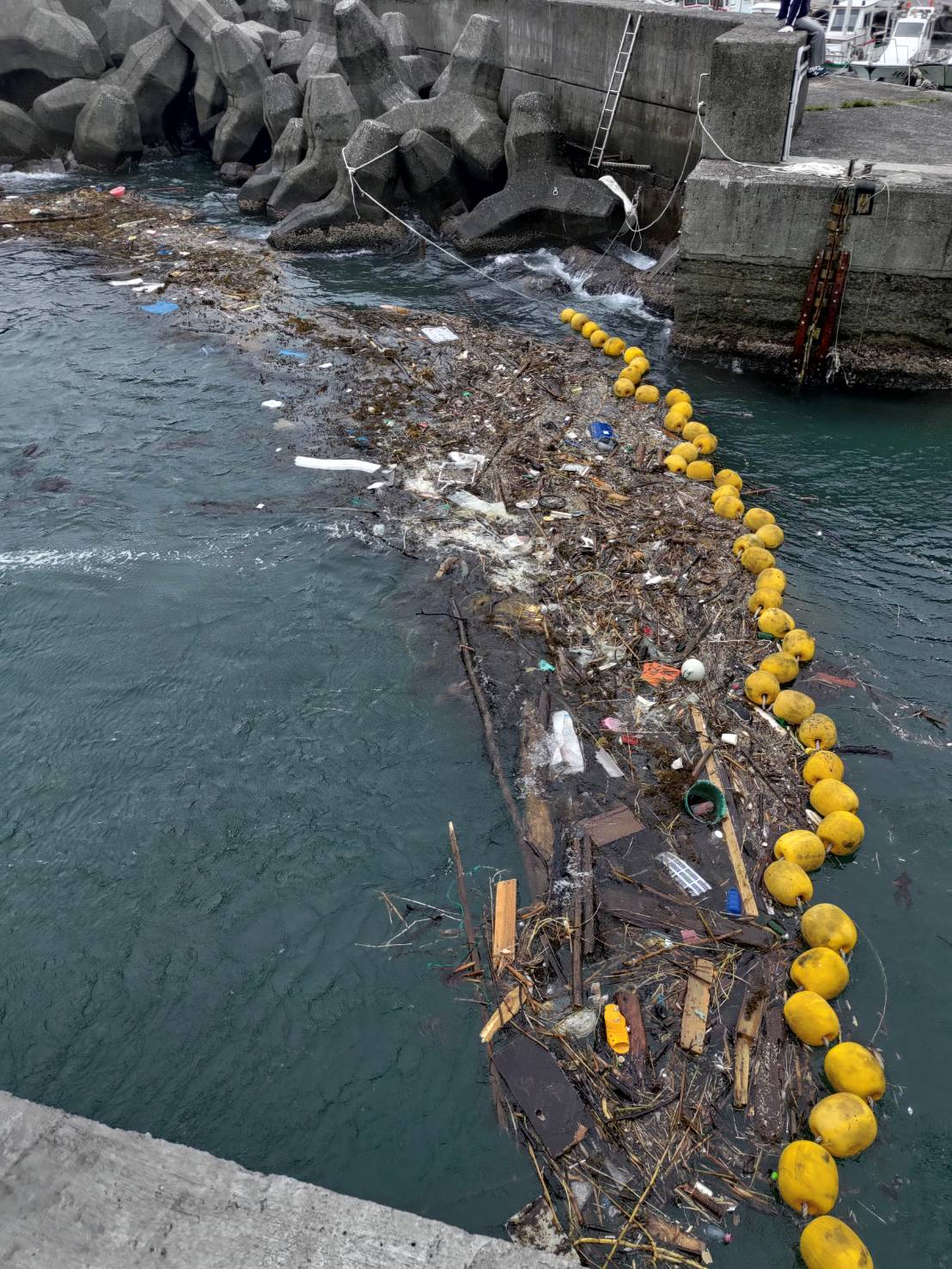 攔木網有效阻絕海漂垃圾